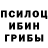 Галлюциногенные грибы Magic Shrooms Moutinio