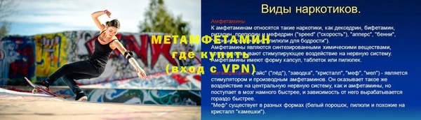прущие грибы Богородицк