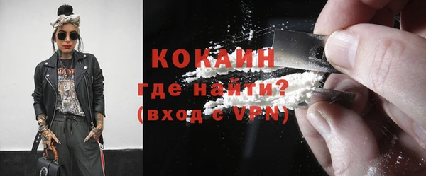 прущие грибы Богородицк