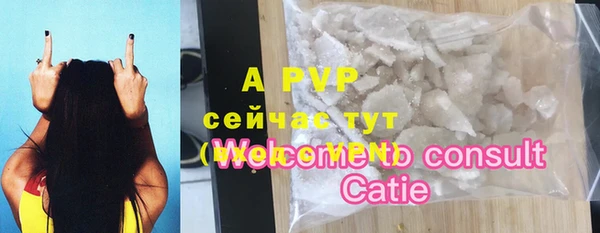 прущие грибы Богородицк