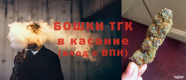 прущие грибы Богородицк