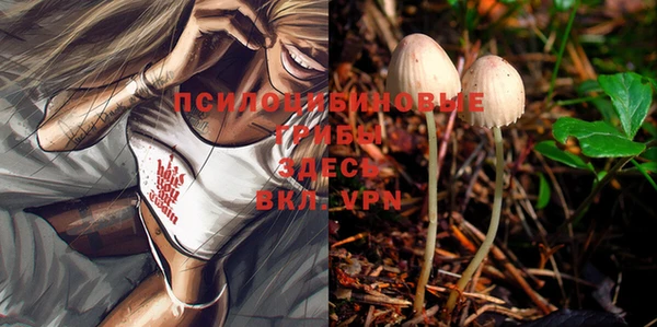 марки lsd Богданович