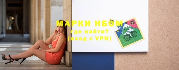 прущие грибы Богородицк