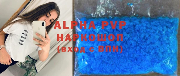 прущие грибы Богородицк