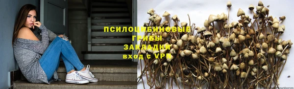 дмт Богородск