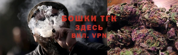 дмт Богородск
