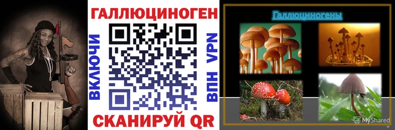 Псилоцибиновые грибы Psilocybine cubensis  Дубна 